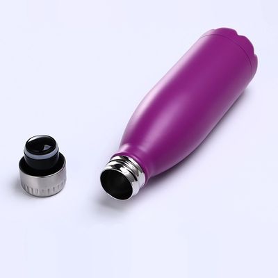 Le double acier inoxydable du mur 750ml a isolé la bouteille pour la hausse extérieure